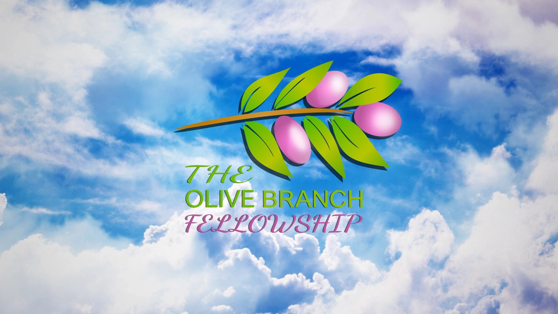 The Olive Branch Fellowship